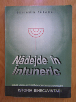 Beniamin Faragau - Nadejde in Intuneric (volumul 2)