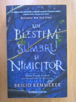Anticariat: Brigid Kemmerer - Un blestem sumbru si nimicitor