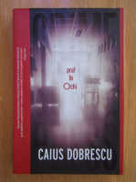 Caius Dobrescu - Praf in ochi