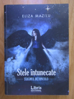 Eliza Mazilu - Stele intunecate, volumul 1. Taramul de dincolo
