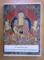 Adrian Cirlea - The True Teaching on Amida Buddha and His Pure Land