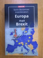 Sorin Bocancea - Europa dupa Brexit