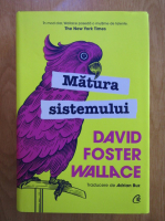 David Foster Wallace - Matura sistemului
