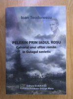 Ioan Teodorescu - Pelerin prin iadul rosu. Calvarul unui ofiter roman in Gulagul sovietic