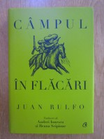Anticariat: Juan Rulfo - Campul in flacari