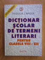 Anticariat: Teodora Capota - Dictionar scolar de termeni literari pentru clasele VIII-XII