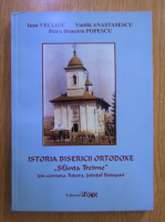 Ioan Vecliuc - Istoria bisericii ortodoxe Sfanta Treime