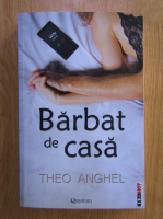 Theo Anghel - Barbat de casa