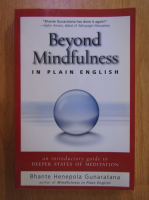 Bhante Henepola Gunaratana - Beyond Mindfulness. In Plain English