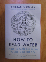 Tristan Gooley - How to Read Water. Clues and Patterns from Puddles to the Sea