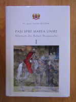 Vasile Oltean - Pasii spre Marea Unire. Marturii din Scheii Brasovului (volumul 1)