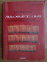 Israel Knohl - Mesia dinainte de Iisus