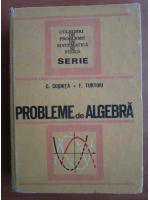 Anticariat: C. Cosnita - Probleme de algebra