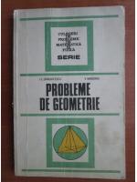 I. C. Draghicescu - Probleme de geometrie