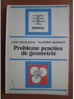 Liviu Nicolescu - Probleme practice de geometrie