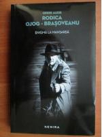 Anticariat: Rodica Ojog Brasoveanu - Enigma la mansarda