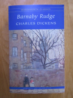 Anticariat: Charles Dickens - Barnaby Rogerson 