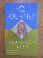 Brandon Bays - The Journey