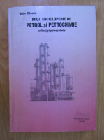 Bujor Olteanu - Mica enciclopedie de petrol si petrochimie