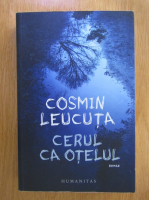 Cosmin Leucuta - Cerul ca otelul