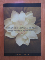 Cyndi Dale - Advanced Chakra Healing. Energy Mapping on the Four Pathways