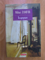Mihai Zamfir - In asteptare