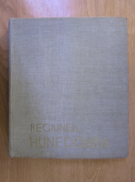 Regiunea Hunedoara