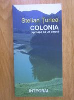 Anticariat: Stelian Turlea - Colonia, aproape ca un blues