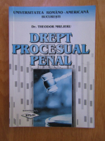 Theodor Mrejeru - Drept procesual penal