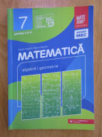 Anton Negrila, Maria Negrila - Matematica. Algebra, geometrie. Clasa a VII-a (volumul 2)