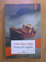 Carlos Ruiz Zafon - Printul din negura