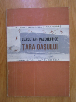 Maria Bitiri - Cercetari paleolitice in Tara Oasului