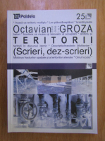 Octavian Groza - Teritorii. Scrieri, dez-scrieri
