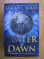 Sarah J. Maas - Tower of Dawn