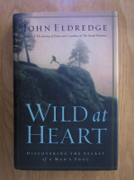 John Eldredge - Wild at Heart 