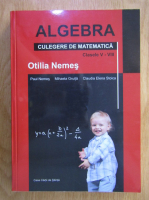 Otilia Nemes - Algebra. Culegere de matematica. Clasele V-VIII