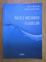 Angela Muntean - Bazele mecanicii fluidelor