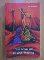 Jim Sanders - Prin ranile lui ati fost vindecati