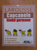 Larousse. Capcanele limbii germane