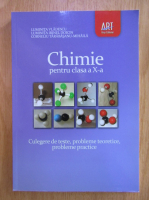Luminita Vladescu, Luminita Irinel Doicin - Chimie pentru clasa a X-a. Culegere de teste, probleme teoretice, probleme practice