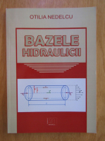 Otilia Nedelcu - Bazele hidraulicii