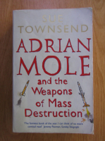 Anticariat: Sue Townsend - Adrian Mole and the weapons of mass destruction