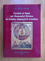 Vasile Citiriga - Cuvinte si fapte ale Domnului Hristos in lumina dogmaticii ortodoxe
