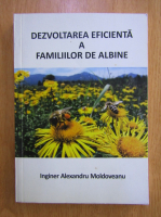 Alexandru Moldoveanu - Dezvoltarea eficienta a familiilor de albine