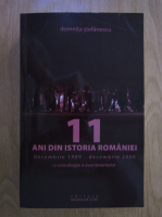 Domnita Stefanescu - 11 ani din istoria Romaniei