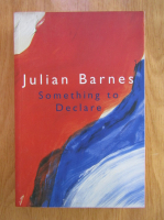 Julian Barnes - Something to declare