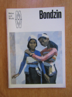 Bondzin (album de arta)