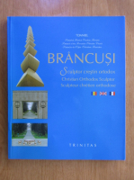 Anticariat: Brancusi. Sculptor crestin ortodox