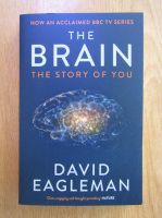 David Eagleman - The brain. The story of you