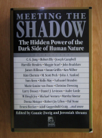 Jeremiah Abrams, Connie Zweig - Meeting the shadow. The hidden power of the dark side of human nature